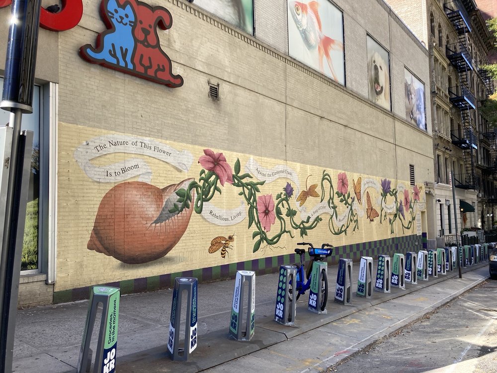 CITYarts, Inc - social services organization in New York City, NY