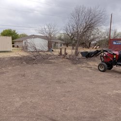 Brian's Tree Service - Tree removal in progress