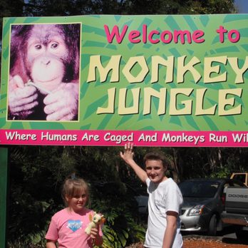 Monkey Jungle - Monkey Jungle in Miami Florida - Zoos Near Me - Miami, Florida