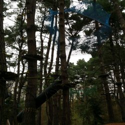 Forêt Adrénaline - Installation en l'air