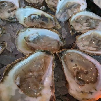 BeetleCat - Assortment of Oysters - Seafood Near Me - Atlanta, Georgia BeetleCat - Assortment of Oysters - Seafood Near Me - Atlanta, Georgia