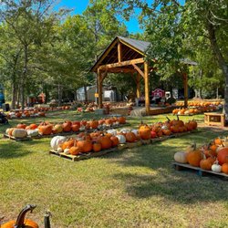 Living Hope Pumpkin Patch