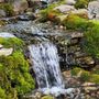 Spaulding Water Gardens and Lawn Care