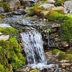 Spaulding Water Gardens and Lawn Care