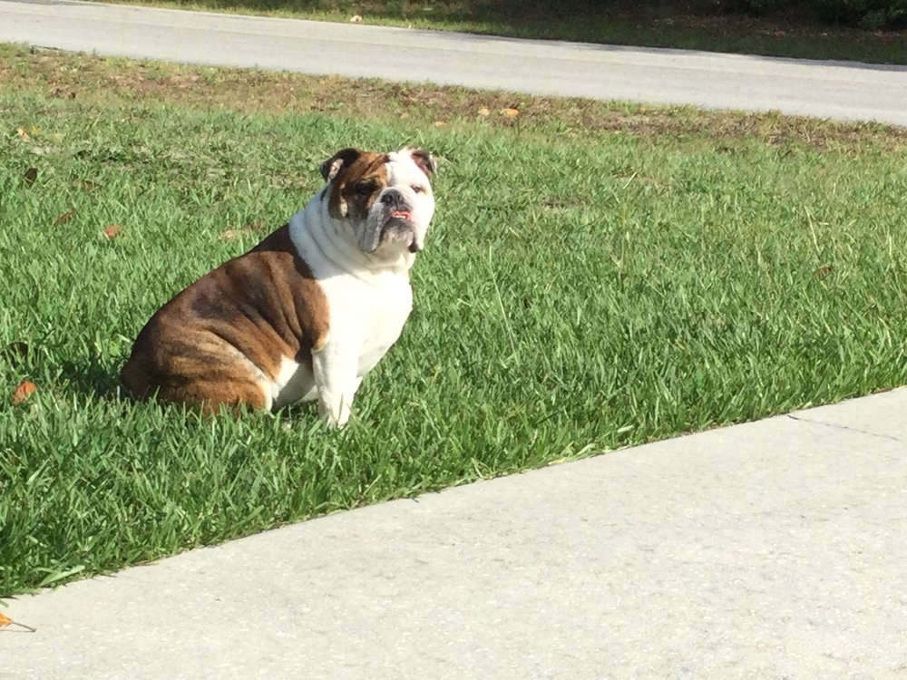 Slide of AAA Roofing