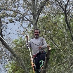 O&B Tree Services - Here is the master at work Brian