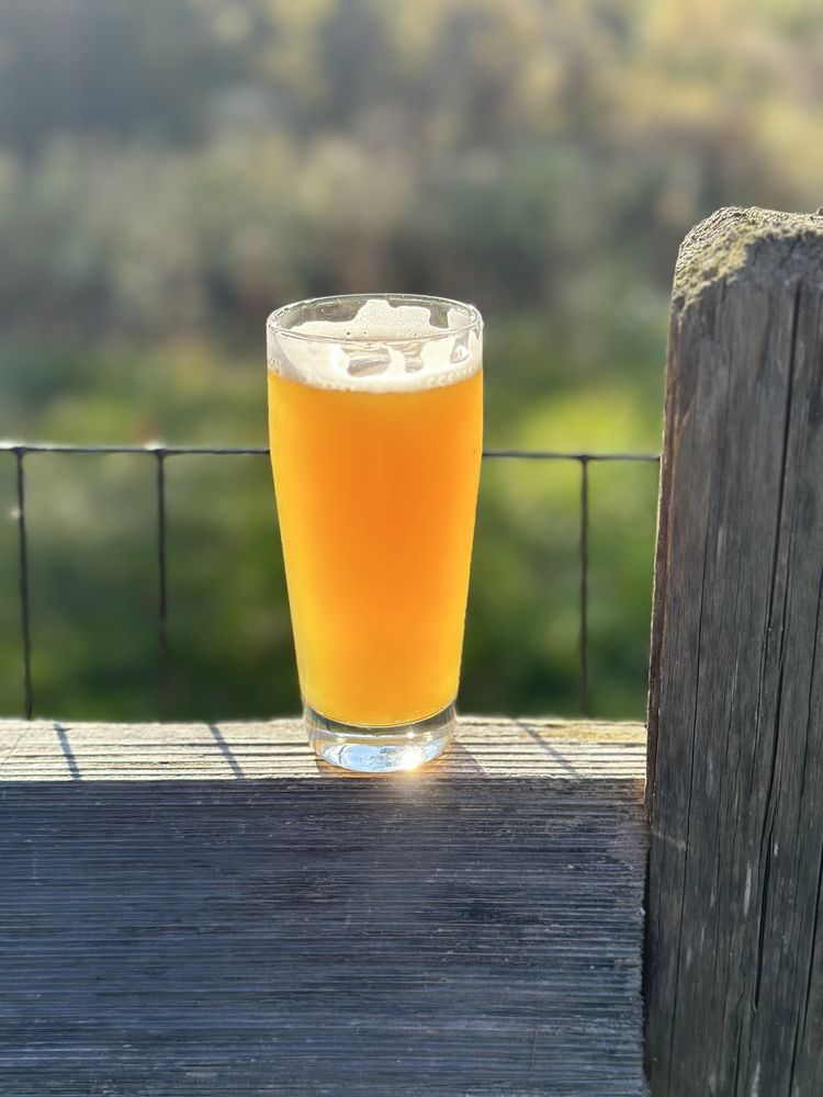Tilted Barn Brewery - Little field - is duplicate, drink - Breweries Near Me - Exeter, Rhode Island Tilted Barn Brewery - Little field - is duplicate, drink - Breweries Near Me - Exeter, Rhode Island
