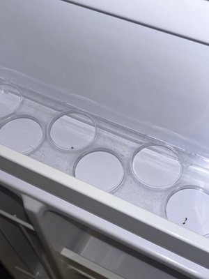 Ramada Plaza by Wyndham Virginia Beach