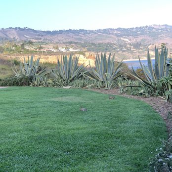 Frank A Vanderlip Park - Parks Near Me - Rancho Palos Verdes, California Frank A Vanderlip Park - Parks Near Me - Rancho Palos Verdes, California