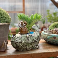 California Cactus Center - They have some unique pots