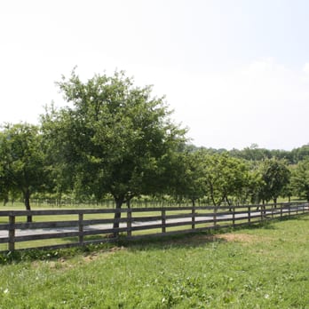 Tranquility Farm & Winery - Wineries Near Me - Purcellville, Virginia