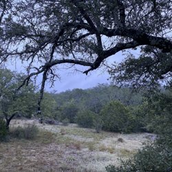 Arbor House of Dripping Springs - Outside