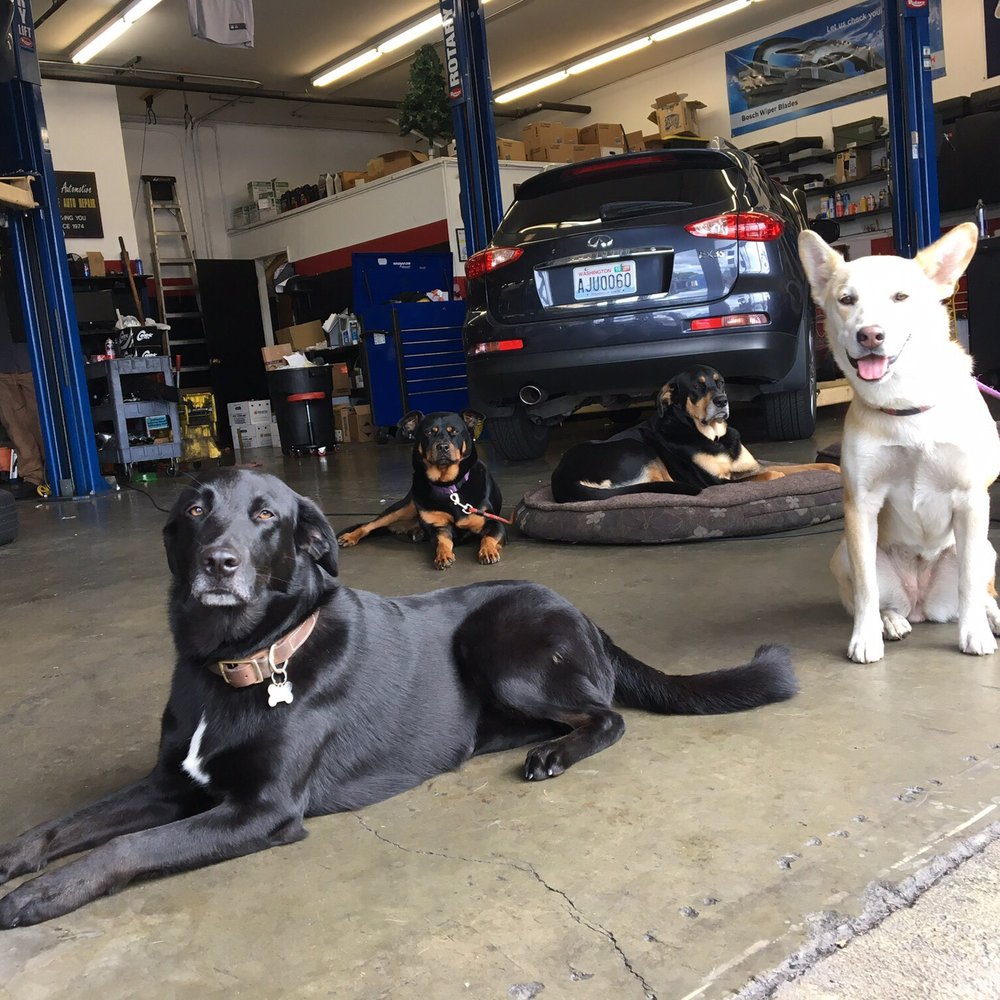 Eschen Automotive - Friendly assistants!! - Auto Repair Near Me - Bellevue, Washington Eschen Automotive - Friendly assistants!! - Auto Repair Near Me - Bellevue, Washington