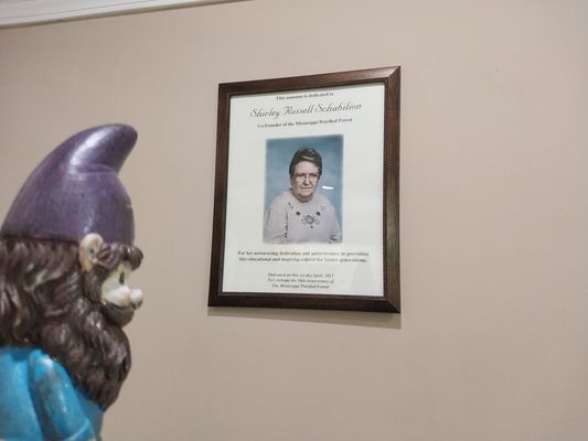 Mississippi Petrified Forest by null