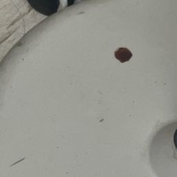 Blood Blood
