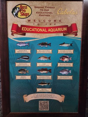 Bass Pro Shops (Formerly Cabela's) by null