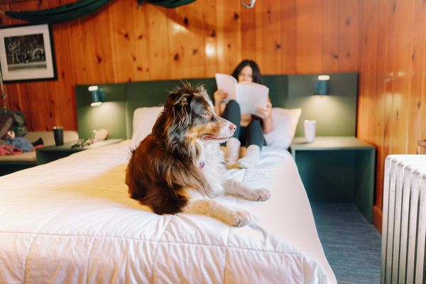 LOGE Glacier by null