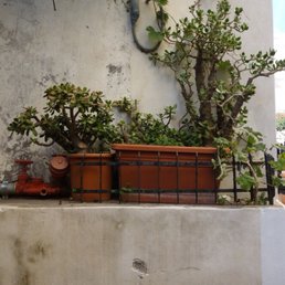 Outside Outside