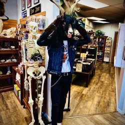 The Golden Curiosity Shop - Guess whooooo?!?