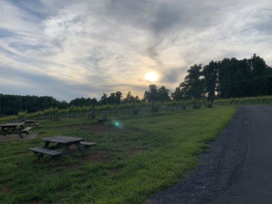 Fox Meadow Vineyards & Winery by null