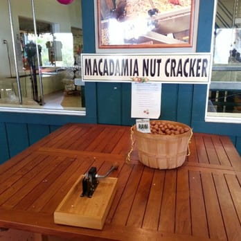 Hamakua Macadamia Nut - Crack Yo Own Nuts! - Specialty Food Near Me - Kawaihae, Hawaii