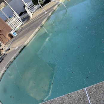 Prime Pool Service - Nadims Pool after we shocked, brushed, and filter cleaned. - Pool Cleaners Near Me - Tracy, California Prime Pool Service - Nadims Pool after we shocked, brushed, and filter cleaned. - Pool Cleaners Near Me - Tracy, California