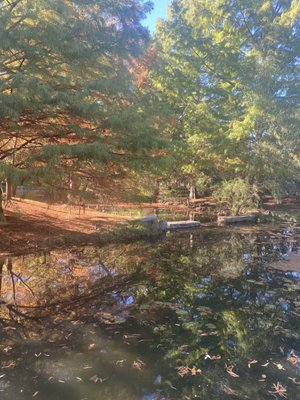 Clark Gardens by null