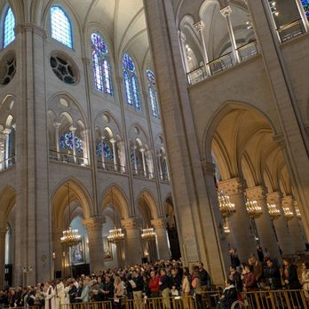Notre Dame de la Paix - @endoedibles on Instagram 03/09/26 - Paris, 75 Notre Dame de la Paix - @endoedibles on Instagram 03/09/26 - Paris, 75