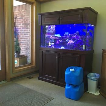 Ronald N Cummings, DDS MS - Entrance. - Orthodontists Near Me - Tallahassee, Florida Ronald N Cummings, DDS MS - Entrance. - Orthodontists Near Me - Tallahassee, Florida