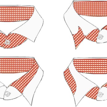 Parvago Swan - Kragenvariation: rechtwinklig, spitz mit Stäbchen, ohne, UNI oder bi-colour und freie Teilungsnähte - Bespoke Clothing Near Me - Berlin, BE