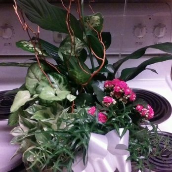 Finicky Flowers - What I received... - Florists Near Me - Murrieta, California Finicky Flowers - What I received... - Florists Near Me - Murrieta, California