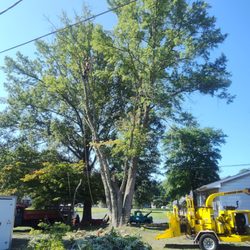 DB Trees