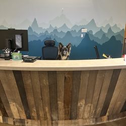 Mountain Ridge Animal Hospital