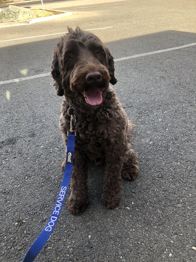 MOKELUMNE RIVER VETERINARY SERVICES Updated September 2024 12