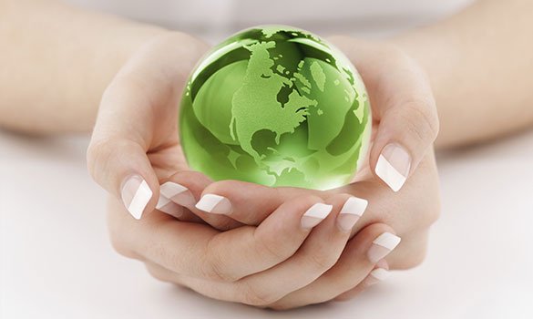 Slide of Sluggo's Superior Services