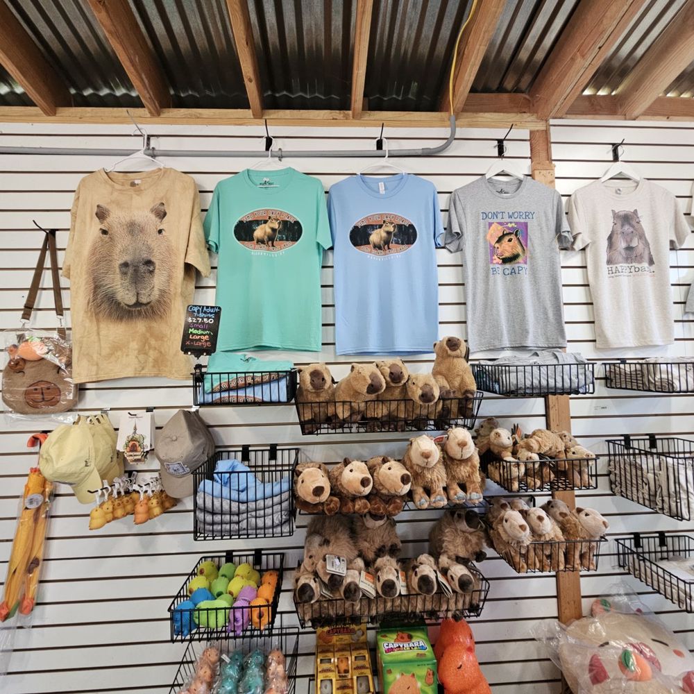 TOP 10 BEST Science Museum near Manorville, NY - Updated 2026 - Yelp