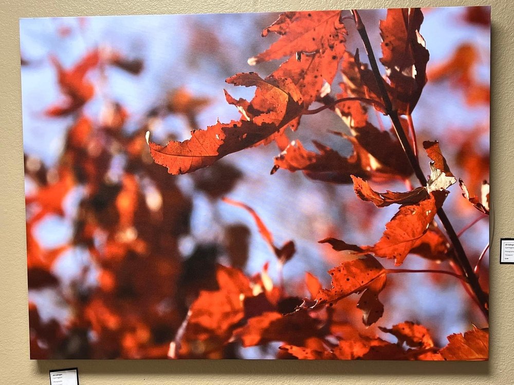 SAPPHIRE GALLERY Updated May 2024 26 Photos 6711 HWY 200 E