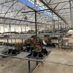 Highland Gardens - Cue Justin Timberlake. Every thing is dead and gone