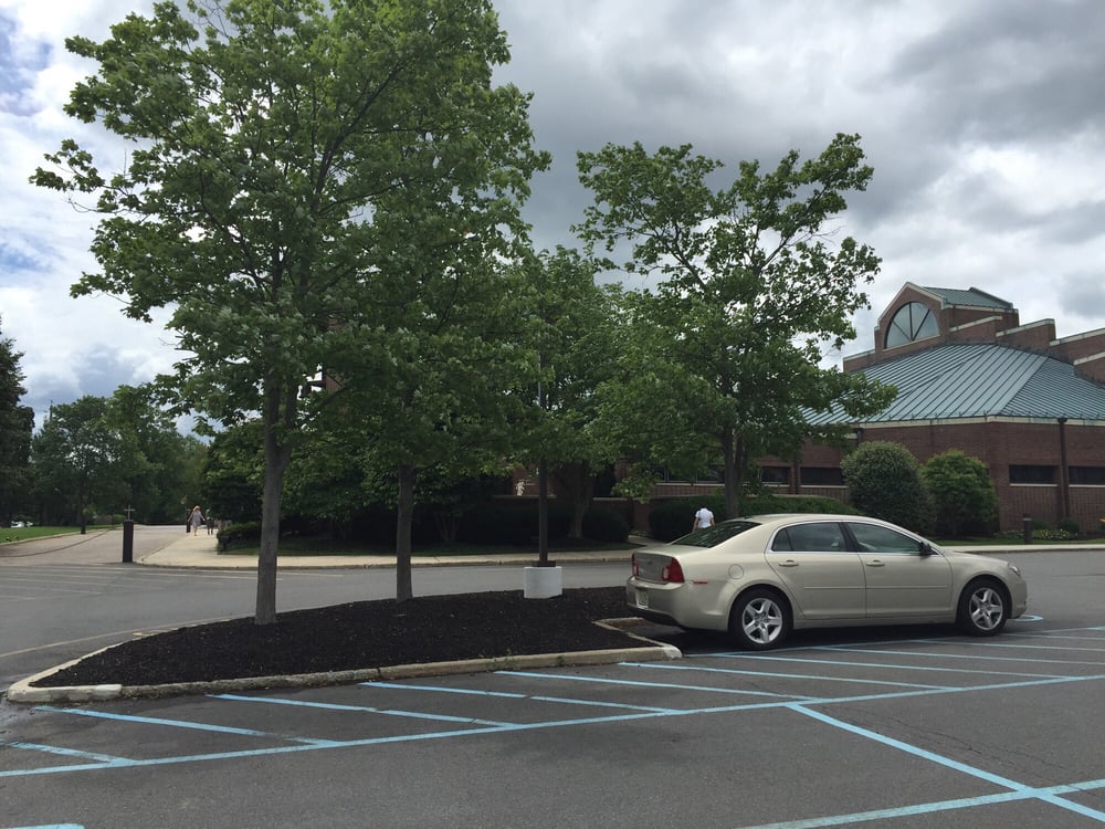 ST AUGUSTINE OF CANTERBURY RC CHURCH Updated September 2024 45 Henderson Rd, Kendall Park