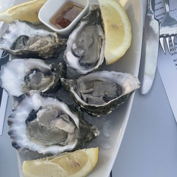 Carvi Beach Hotel Algarve - Fresh oysters (highly recommend) - Hotels Near Me - Lagos, 20
