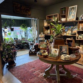 Curious Plants and Treasures - One interior view - Nurseries & Gardening Near Me - Cloverdale, Oregon Curious Plants and Treasures - One interior view - Nurseries & Gardening Near Me - Cloverdale, Oregon
