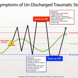 Liz Spencer Somatic Bodywork - A dysregulated nervous system cannot bounce back and discharge stress energy, getting "stuck" in over or under- activation.