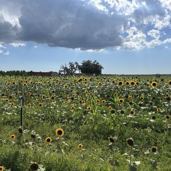 Dade City Farms - Attraction Farms Near Me - Dade City, Florida Dade City Farms - Attraction Farms Near Me - Dade City, Florida