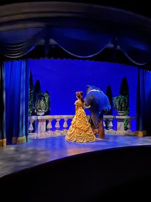 Tokyo Disneyland by null