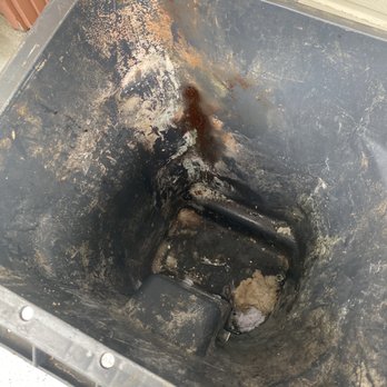 The Bin Detailer - Garbage Bin - Home Cleaning Near Me The Bin Detailer - Garbage Bin - Home Cleaning Near Me