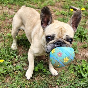 Southwest Veterinary Clinic - Igor. December 9, 2022-July 3, 2025 - Veterinarians Near Me - Atlanta, Georgia Southwest Veterinary Clinic - Igor. December 9, 2022-July 3, 2025 - Veterinarians Near Me - Atlanta, Georgia
