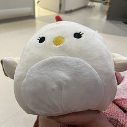 Winchester Medical Center - This is my squishmallow Todd! I took this photo while I was at the hospital! Pls show love for Todd by going to this hospital