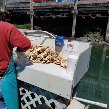 Yaquina Bay Charters - Our haul of crab, not sure why I didn't take a picture off all the darn fish we caught. - Fishing Near Me - Newport, Oregon Yaquina Bay Charters - Our haul of crab, not sure why I didn't take a picture off all the darn fish we caught. - Fishing Near Me - Newport, Oregon