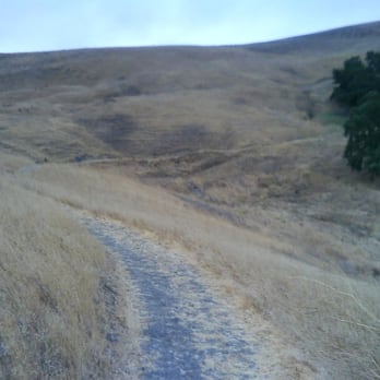 Callippe Preserve Trail - Eastern half of trail loop - Hiking Near Me - Pleasanton, California