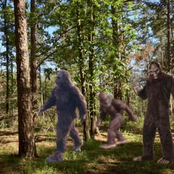 Atlanta State Park - All kinds of creatures around here.